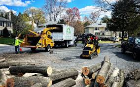 Best Firewood Processing and Delivery  in Clarks Summit, PA